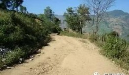 杞县于镇车祸最新爆料,悲剧现场细节披露，调查进展及伤亡情况揭晓