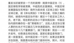 冉雄飞最新爆料刘洁,刘洁事件再掀波澜