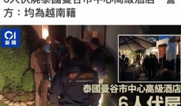 最新事件爆料完整版,独家爆料完整版深度解析