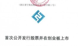 宁波新公司爆料信息最新,创新项目引领行业新风向