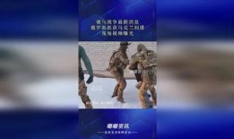 俄国间谍爆料视频大全最新,最新视频大全深度解析