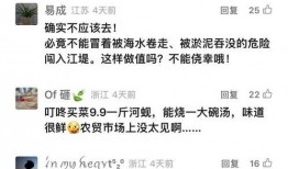 钱江最新爆料新闻事件视频,揭秘事件背后惊人真相