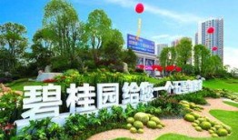 大同碧桂园最新爆料,揭秘未来城市生活典范