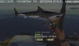 鲨鱼最新爆料视频大全集,揭秘海洋深处的秘密与奇观