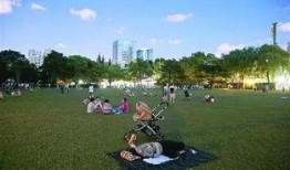 中山公园最新爆料新闻,神秘事件引发公众热议