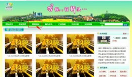 今日东莞新闻最新爆料,揭秘某重大事件背后真相