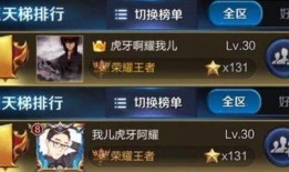 王者阿茶爆料视频大全最新,揭秘游戏幕后精彩瞬间