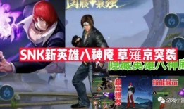 新snk最新爆料,神秘角色登场，游戏剧情再掀波澜！